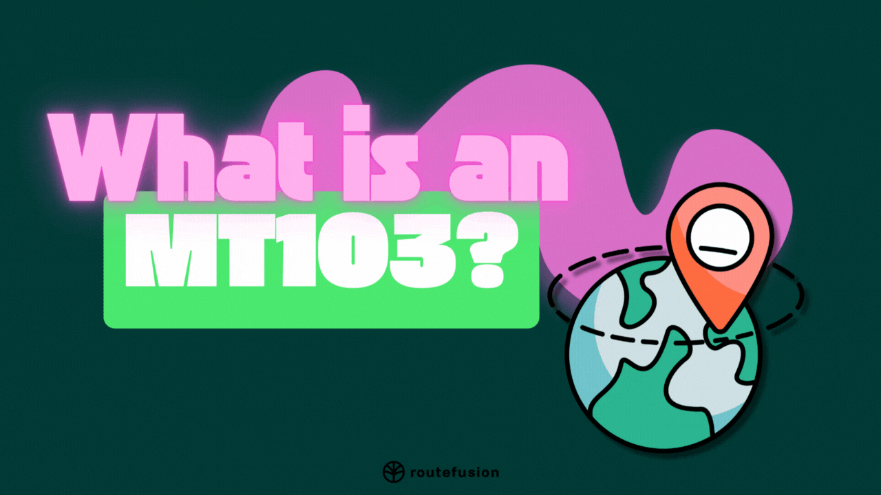 What's an MT103? đź§ľ